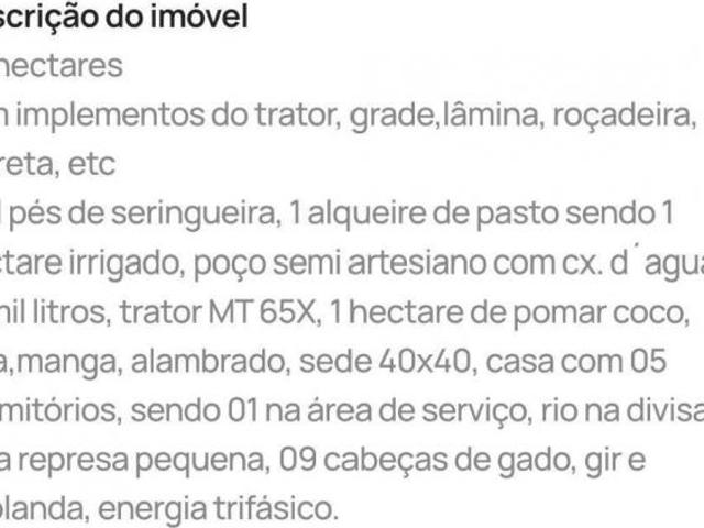 Sítio e chácara venda em Região Imediata de São José do Rio Preto, Região Metropolitana de São José do Rio Preto