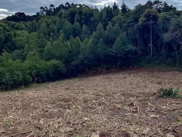 Sítio e chácara venda em Região Geográfica Imediata de Caxias do Sul, Nova Petrópolis
