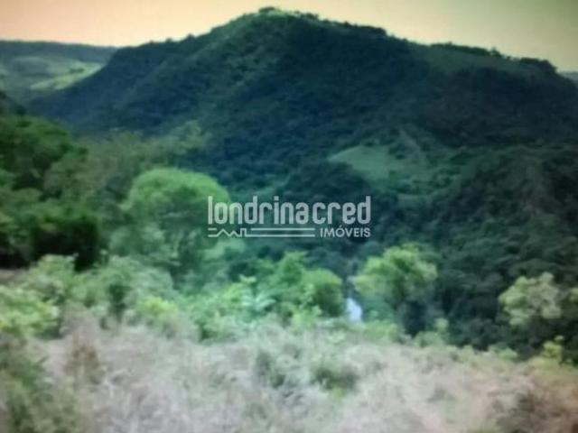Sítio e chácara venda em Região Geográfica Imediata de Telêmaco Borba, Ortigueira
