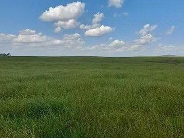 Sítio e chácara venda em Região Geográfica Imediata de Santa Cruz do Sul, Pântano Grande