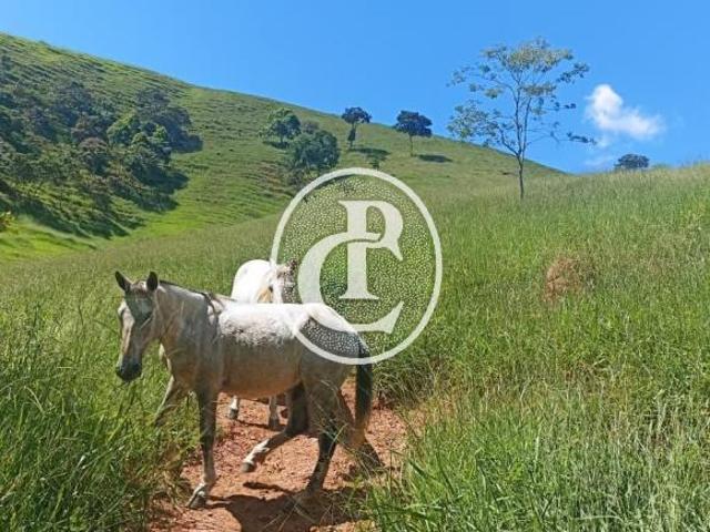 Sítio e chácara venda em Campinas