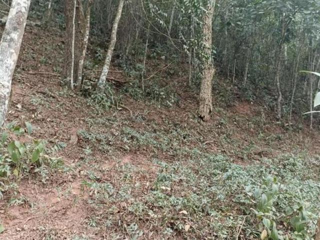 Sítio e chácara venda em Região Imediata de São José dos Campos, Região Metropolitana do Vale do Paraíba e Litoral Norte