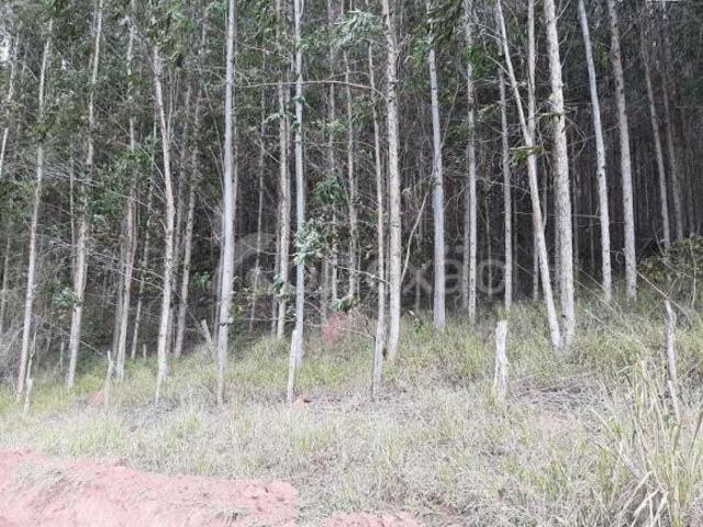 Sítio e chácara venda em Região Imediata de São José dos Campos, Região Metropolitana do Vale do Paraíba e Litoral Norte