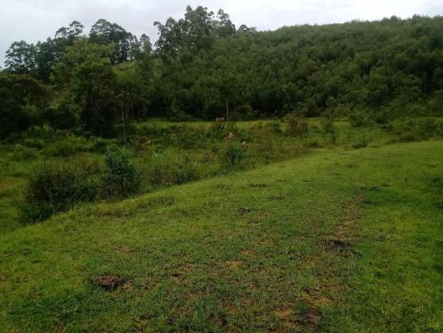 Sítio e chácara venda em Região Imediata de São José dos Campos, Região Metropolitana do Vale do Paraíba e Litoral Norte