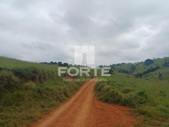 Sítio e chácara venda em Paraisópolis
