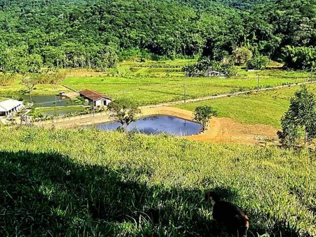 Sítio e chácara venda em Praia do Leste, Pontal do Paraná
