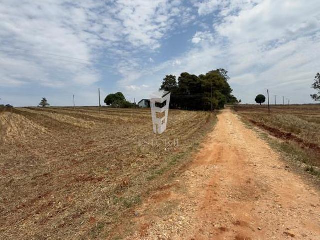 Sítio e chácara venda em Região Imediata de Avaré, Paranapanema