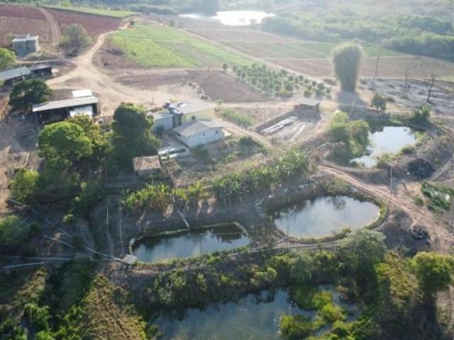 Sítio e chácara venda em Passa Tempo, Região Geográfica Intermediária de Divinópolis