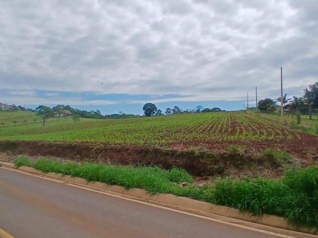 Sítio e chácara venda em Região Geográfica Imediata de Santa Cruz do Sul, Santa Cruz do Sul
