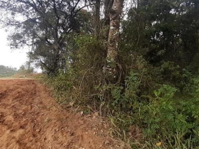 Sítio e chácara venda em Região Imediata de Sorocaba, Região Metropolitana de Sorocaba