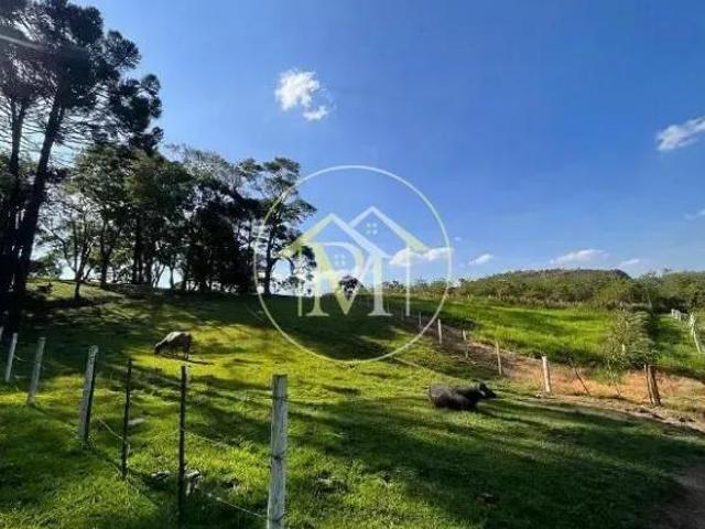 Sítio e chácara venda em Região Imediata de Sorocaba, Região Metropolitana de Sorocaba
