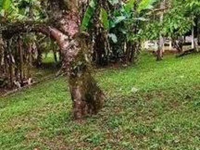 Sítio e chácara venda em Região Imediata de Taubaté-Pindamonhangaba, Região Metropolitana do Vale do Paraíba e Litoral Norte
