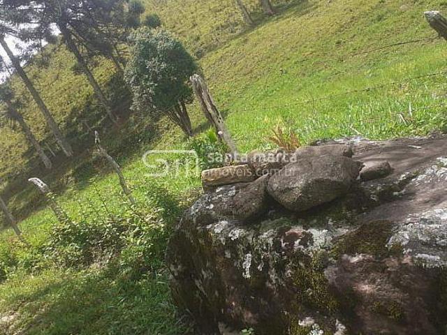 Sítio e chácara venda em Região Imediata de Guaratinguetá, Região Metropolitana do Vale do Paraíba e Litoral Norte