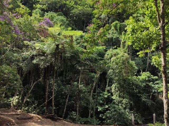 Sítio e chácara venda em Região Imediata de Guaratinguetá, Região Metropolitana do Vale do Paraíba e Litoral Norte
