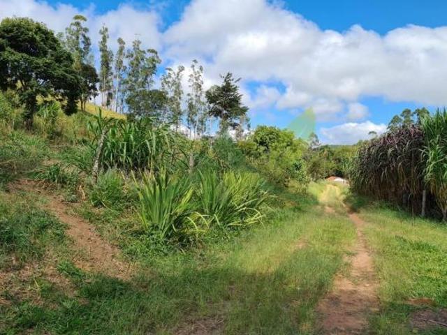 Sítio e chácara venda em Piracaia