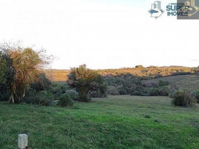 Sítio e chácara venda em Região Geográfica Imediata de Pelotas, Piratini