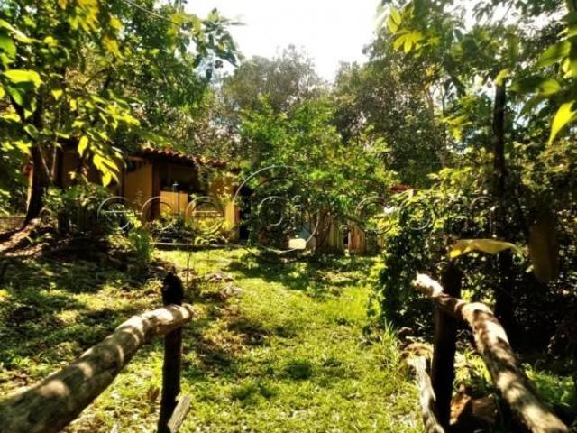 Sítio e chácara venda em Região Geográfica Imediata de Anápolis, Região Integrada de Desenvolvimento do Distrito Federal e Entorno