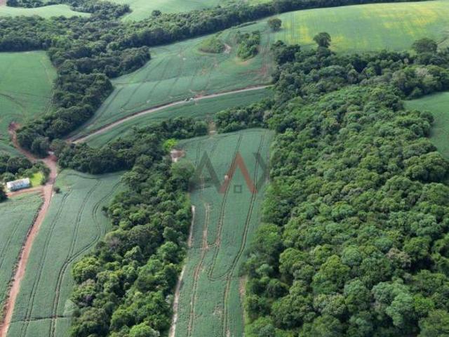 Sítio e chácara venda em Região Geográfica Imediata de Pitanga, Pitanga
