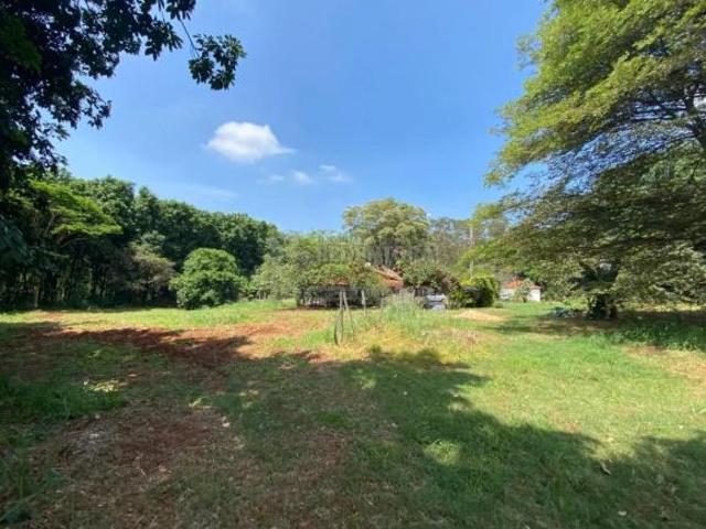 Sítio e chácara venda em Região Imediata de São José do Rio Preto, Região Metropolitana de São José do Rio Preto
