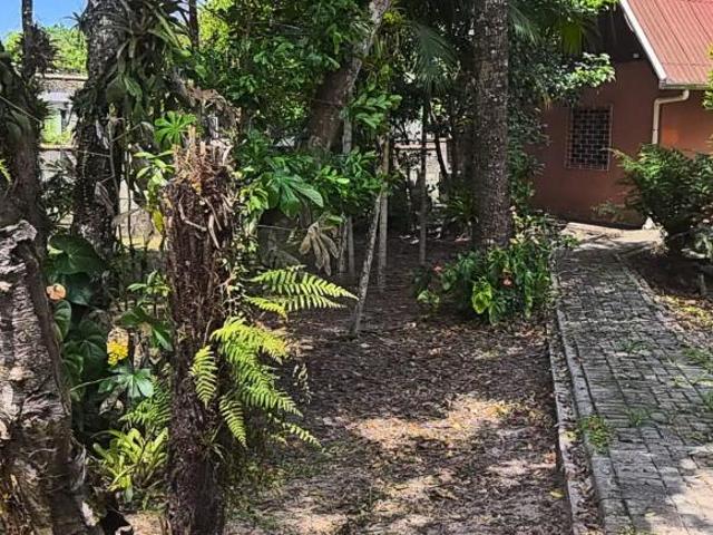 Sítio e chácara venda em Praia do Leste, Pontal do Paraná