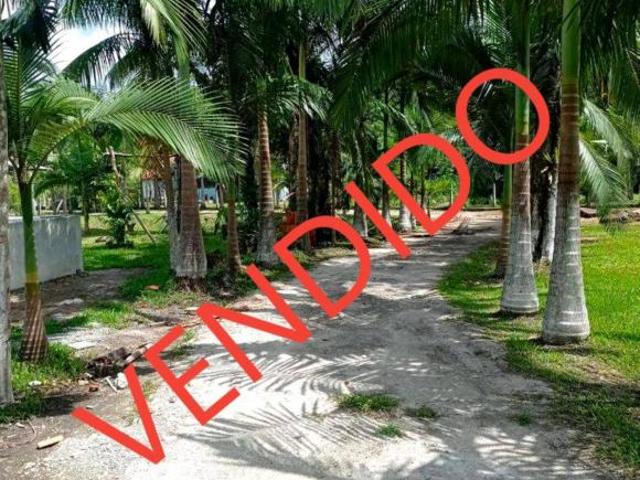 Sítio e chácara venda em Pontal do Paraná, Região Geográfica Intermediária de Curitiba
