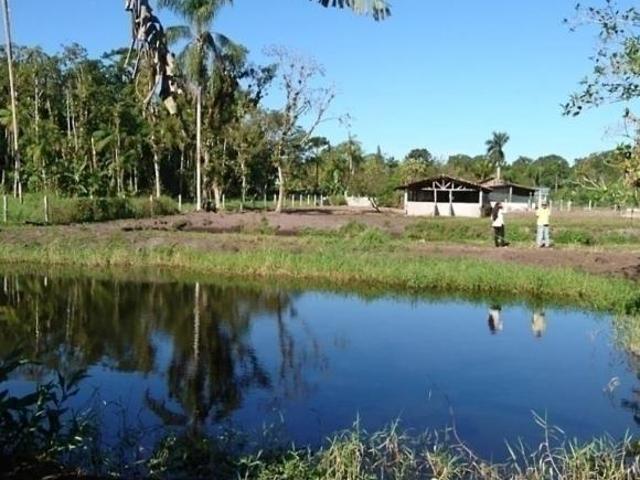 Sítio e chácara venda em Praia do Leste, Pontal do Paraná