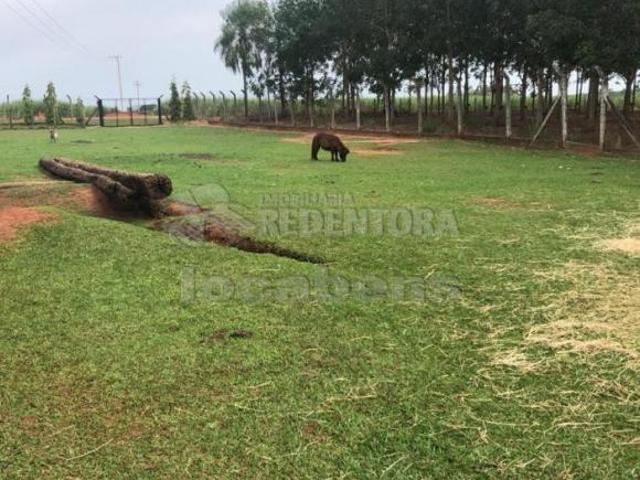 Sítio e chácara venda em Região Imediata de São José do Rio Preto, Região Metropolitana de São José do Rio Preto