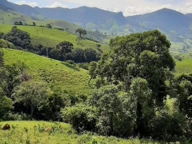 Sítio e chácara venda em Região Geográfica Imediata de São Lourenço, Pouso Alto