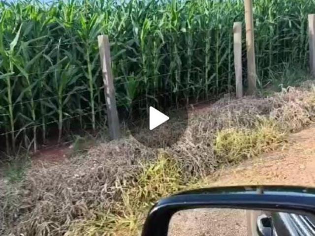 Sítio e chácara venda em Centro, Quadra