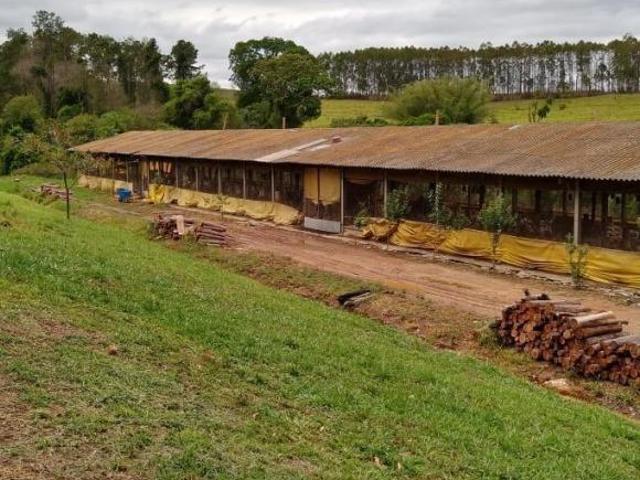 Sítio e chácara venda em Região Imediata de Piracicaba, Região Metropolitana de Piracicaba