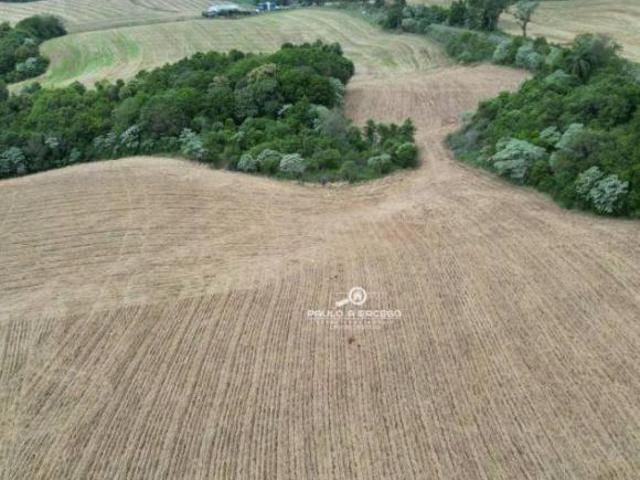 Sítio e chácara venda em Região Geográfica Imediata de Francisco Beltrão, Renascença