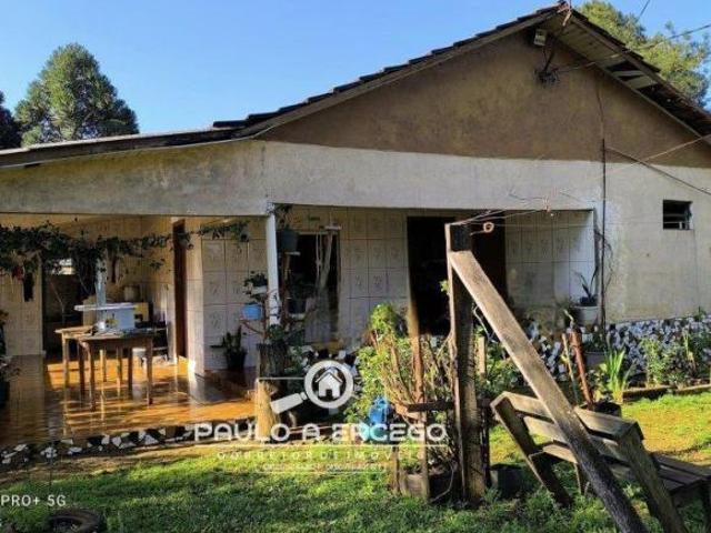 Sítio e chácara venda em Região Geográfica Imediata de Francisco Beltrão, Renascença