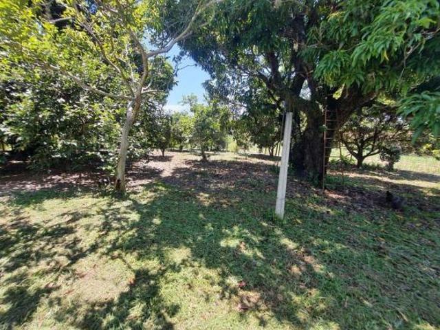 Sítio e chácara venda em Região Imediata de Piracicaba, Região Metropolitana de Piracicaba