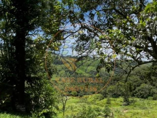 Sítio e chácara venda em Jardim Nova Conquista, São Bento do Sapucaí