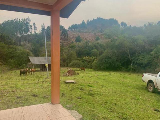 Sítio e chácara venda em Região Geográfica Imediata de Caxias do Sul, São Francisco de Paula