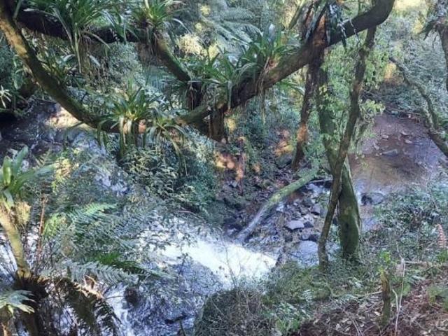 Sítio e chácara venda em Região Geográfica Imediata de Caxias do Sul, São Francisco de Paula