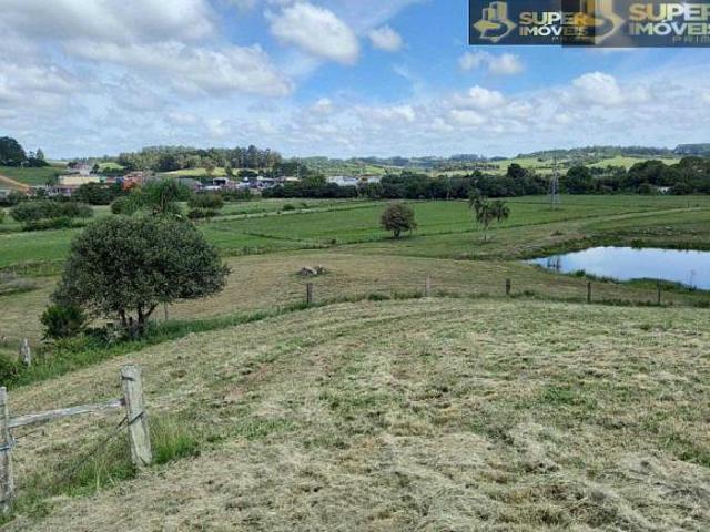 Sítio e chácara venda em Região Geográfica Imediata de Pelotas, São Lourenço do Sul