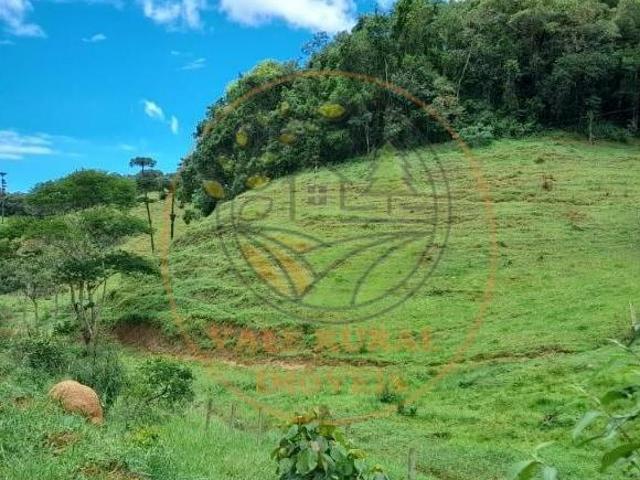 Sítio e chácara venda em Região Imediata de Taubaté-Pindamonhangaba, Região Metropolitana do Vale do Paraíba e Litoral Norte