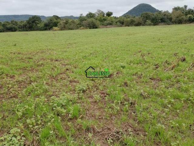 Sítio e chácara venda em Região Geográfica Imediata de Santa Maria, São Martinho da Serra