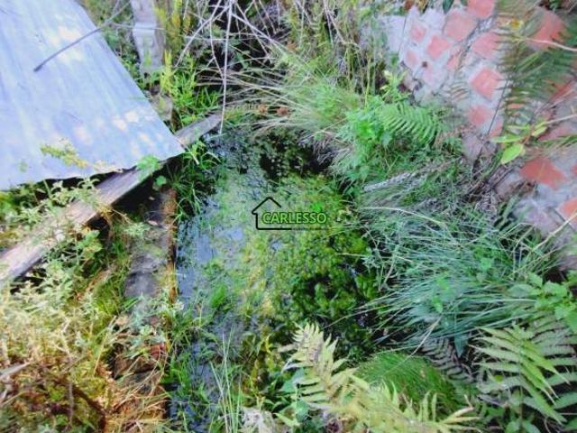 Sítio e chácara venda em Região Geográfica Imediata de Santa Maria, São Martinho da Serra