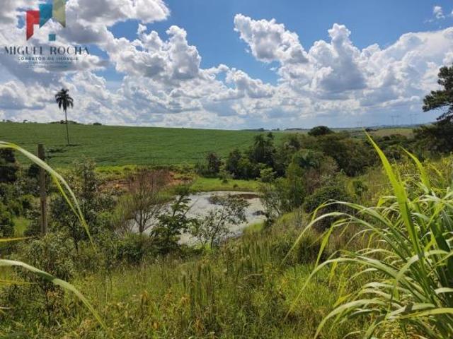 Sítio e chácara venda em São Miguel Arcanjo