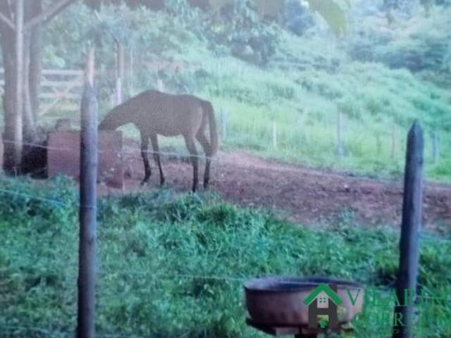 Sítio e chácara venda em Região Geográfica Imediata de Belo Horizonte, Região Metropolitana de Belo Horizonte