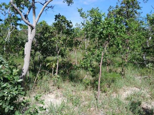 Sítio e chácara venda em Região Geográfica Imediata de São Francisco, São Romão