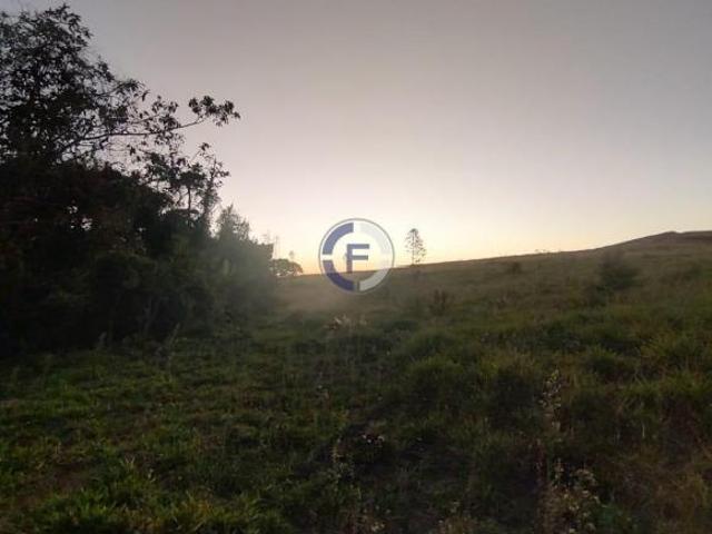 Sítio e chácara venda em Vila Dalva, São Sebastião do Paraíso