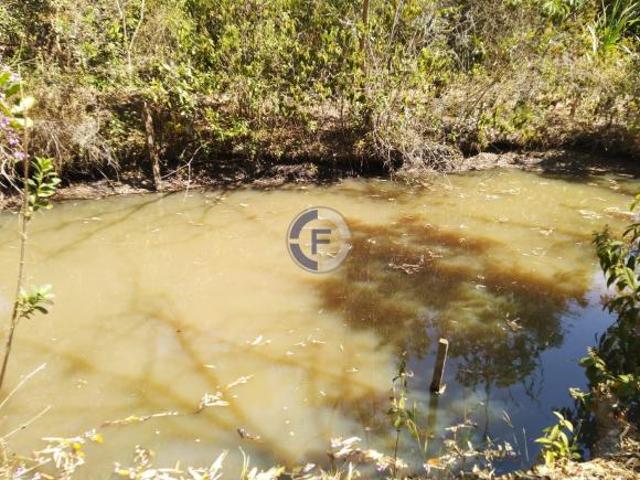 Sítio e chácara venda em Região Geográfica Imediata de São Sebastião do Paraíso, São Sebastião do Paraíso