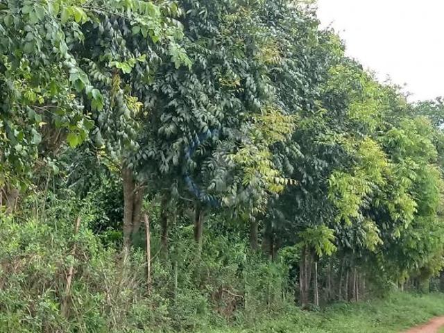 Sítio e chácara venda em Vila Dalva, São Sebastião do Paraíso