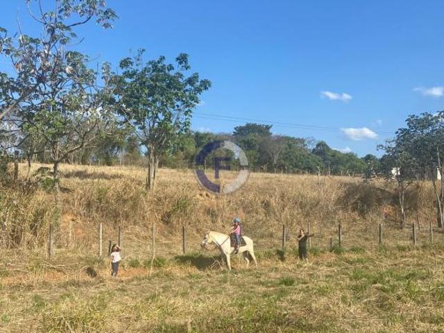 Sítio e chácara venda em Vila Dalva, São Sebastião do Paraíso