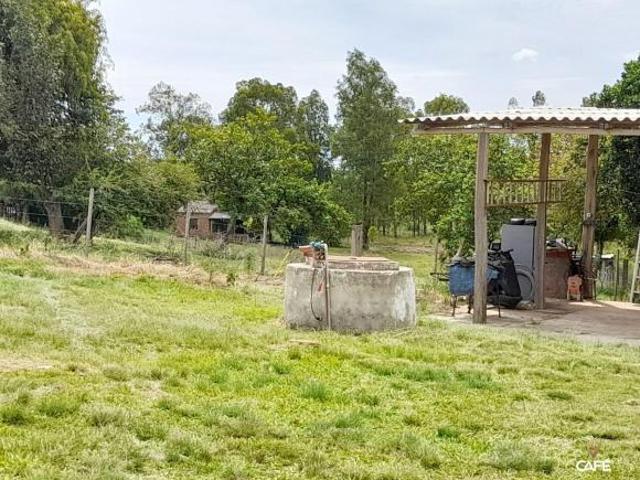 Sítio e chácara venda em Região Geográfica Imediata de Santa Maria, São Sepe