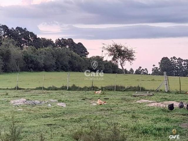 Sítio e chácara venda em Região Geográfica Imediata de Santa Maria, São Sepe