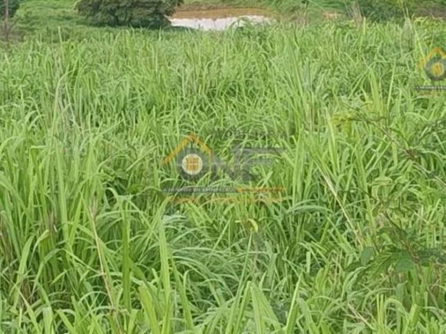 Sítio e chácara venda em Alvorada, Salinas